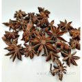 good price Dried Star Aniseed